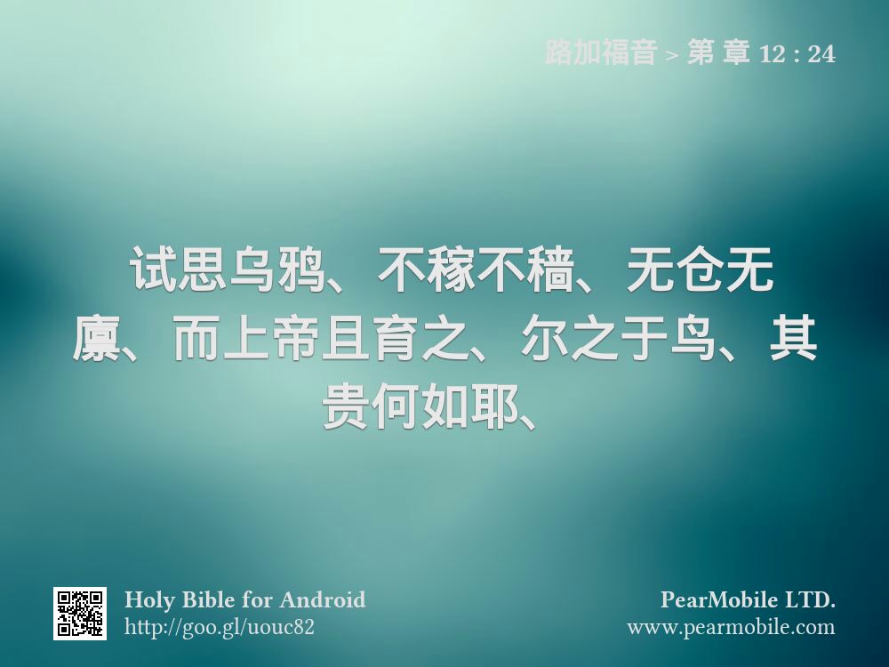 路加福音, 第 章 12:24
