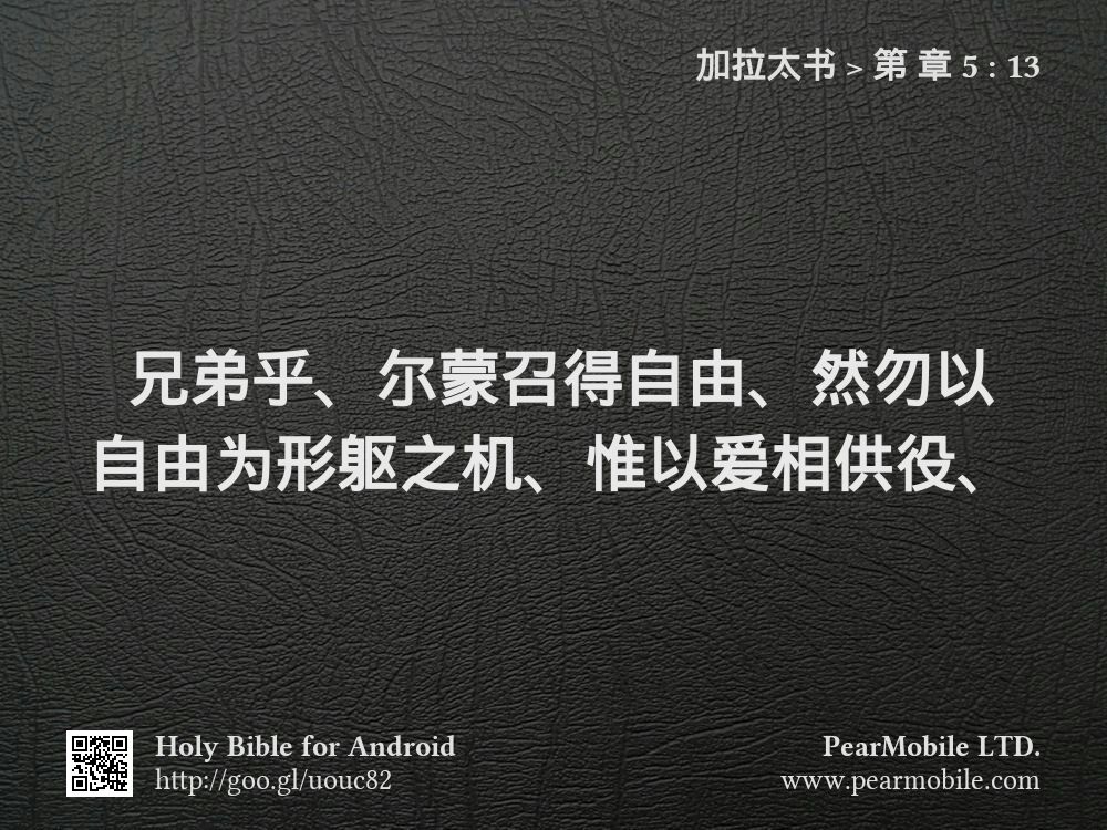 加拉太书, 第 章 5:13