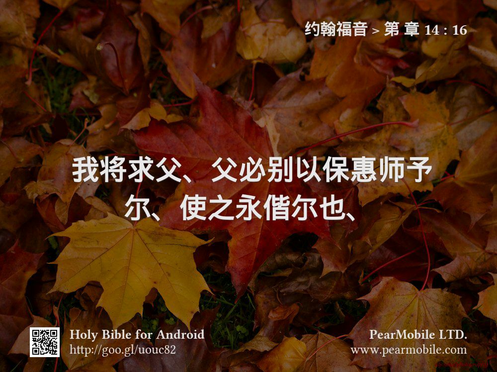 约翰福音, 第 章 14:16