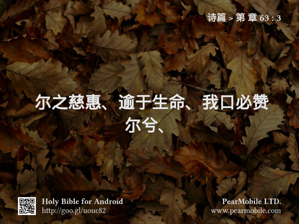 诗篇, 第 章 63:3