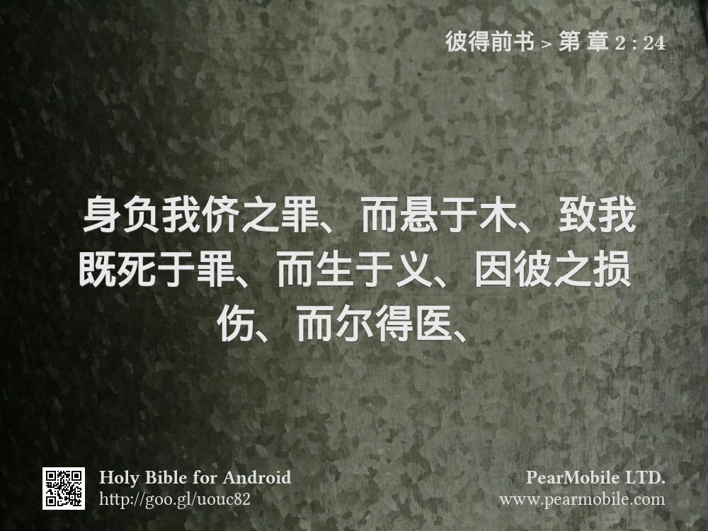 彼得前书, 第 章 2:24