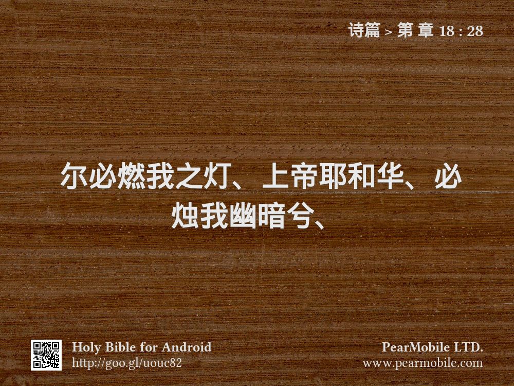 诗篇, 第 章 18:28