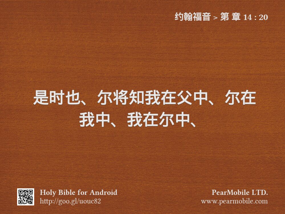 约翰福音, 第 章 14:20