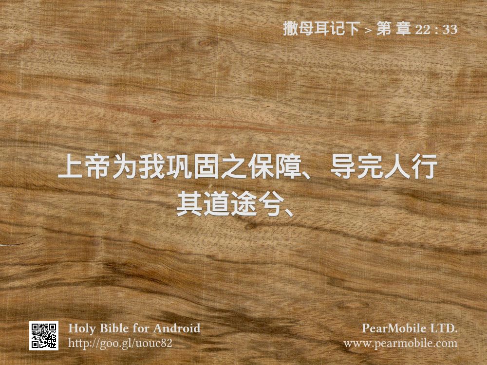 撒母耳记下, 第 章 22:33
