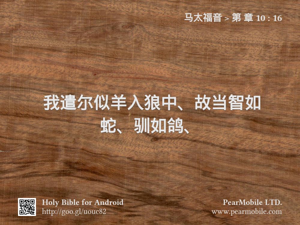 马太福音, 第 章 10:16