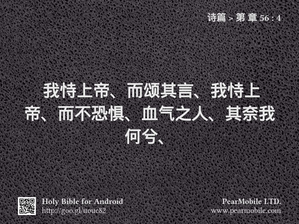 诗篇, 第 章 56:4