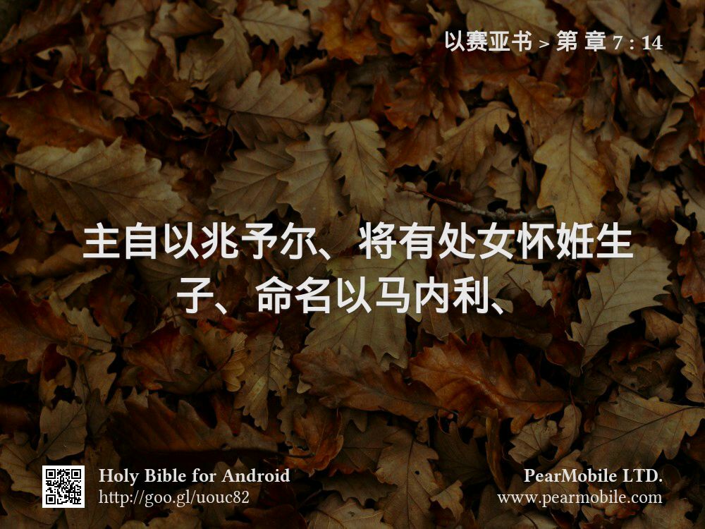 以赛亚书, 第 章 7:14