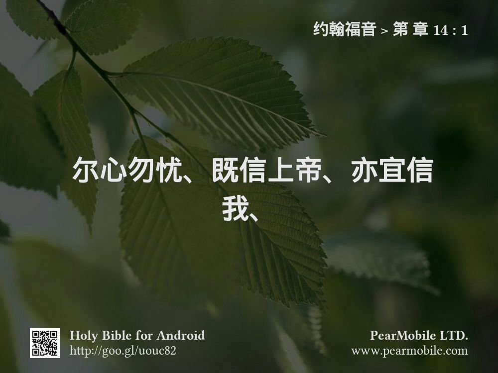 约翰福音, 第 章 14:1