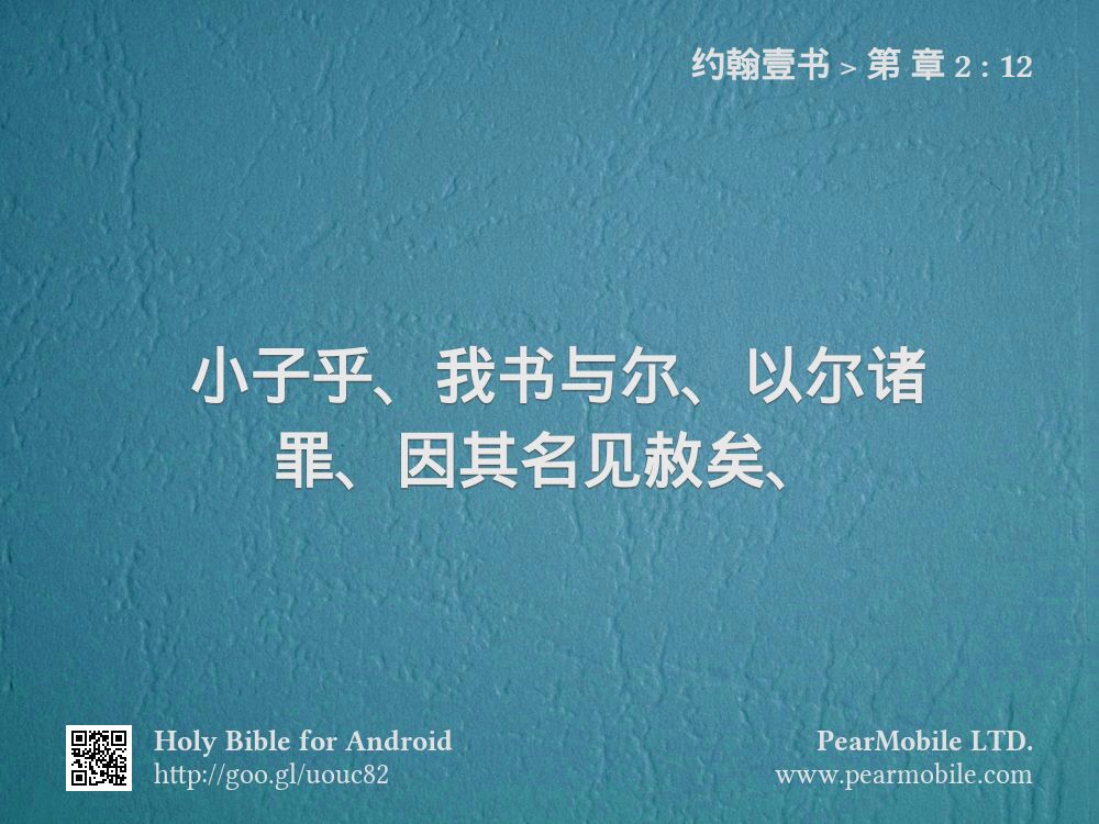 约翰壹书, 第 章 2:12
