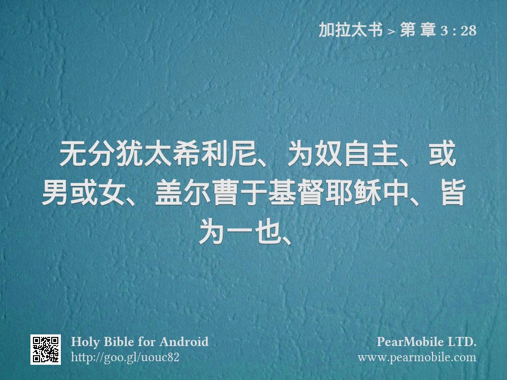 加拉太书, 第 章 3:28