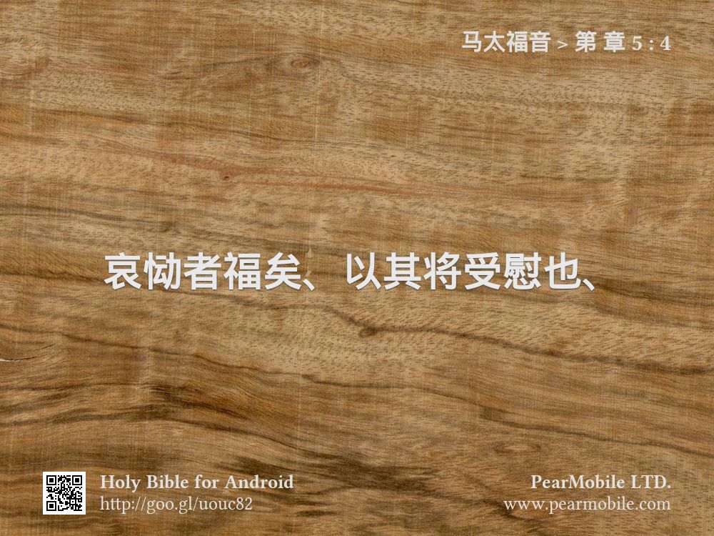 马太福音, 第 章 5:4
